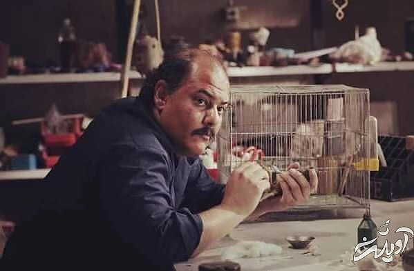 وحید نفر از دردی که میکشد گفت